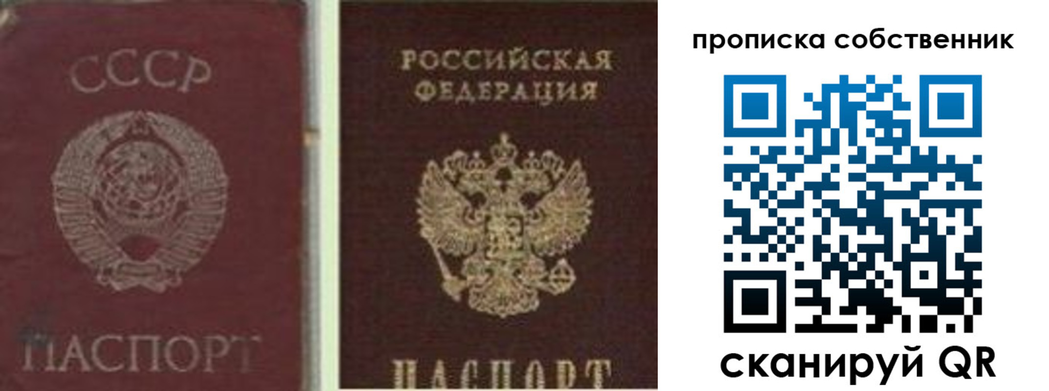 прописка 2025 в Коркино